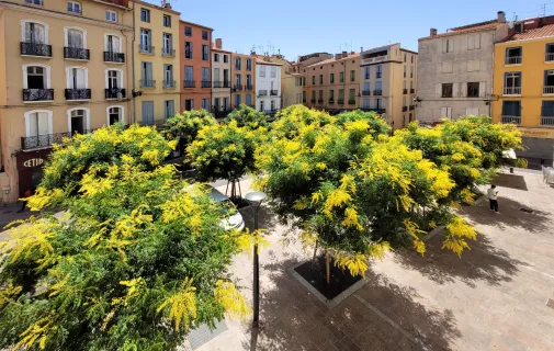 Location Perpignan Appartement 6aaab6226309