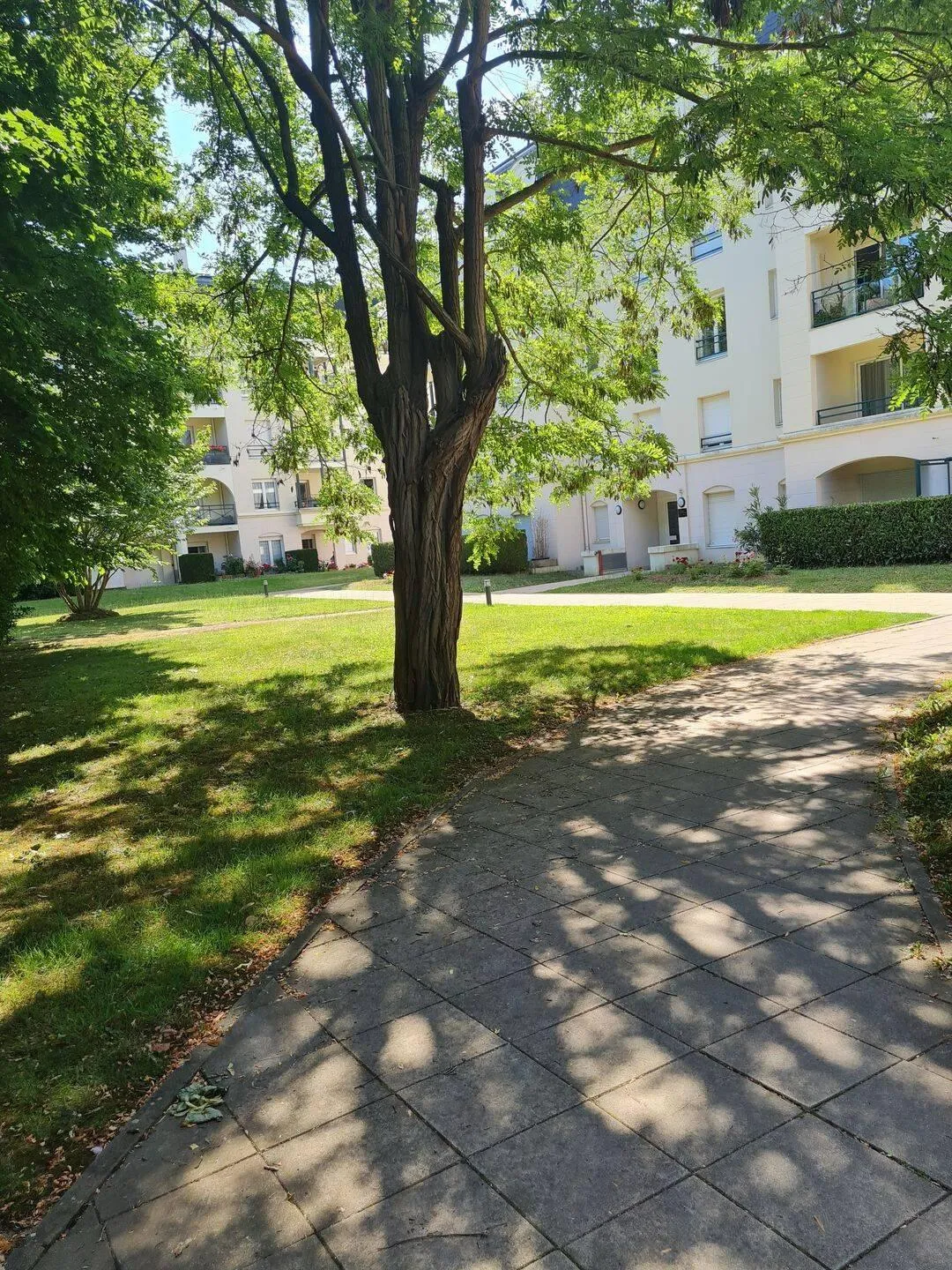 Location Montgeron Appartement 6ab233e2ec5a