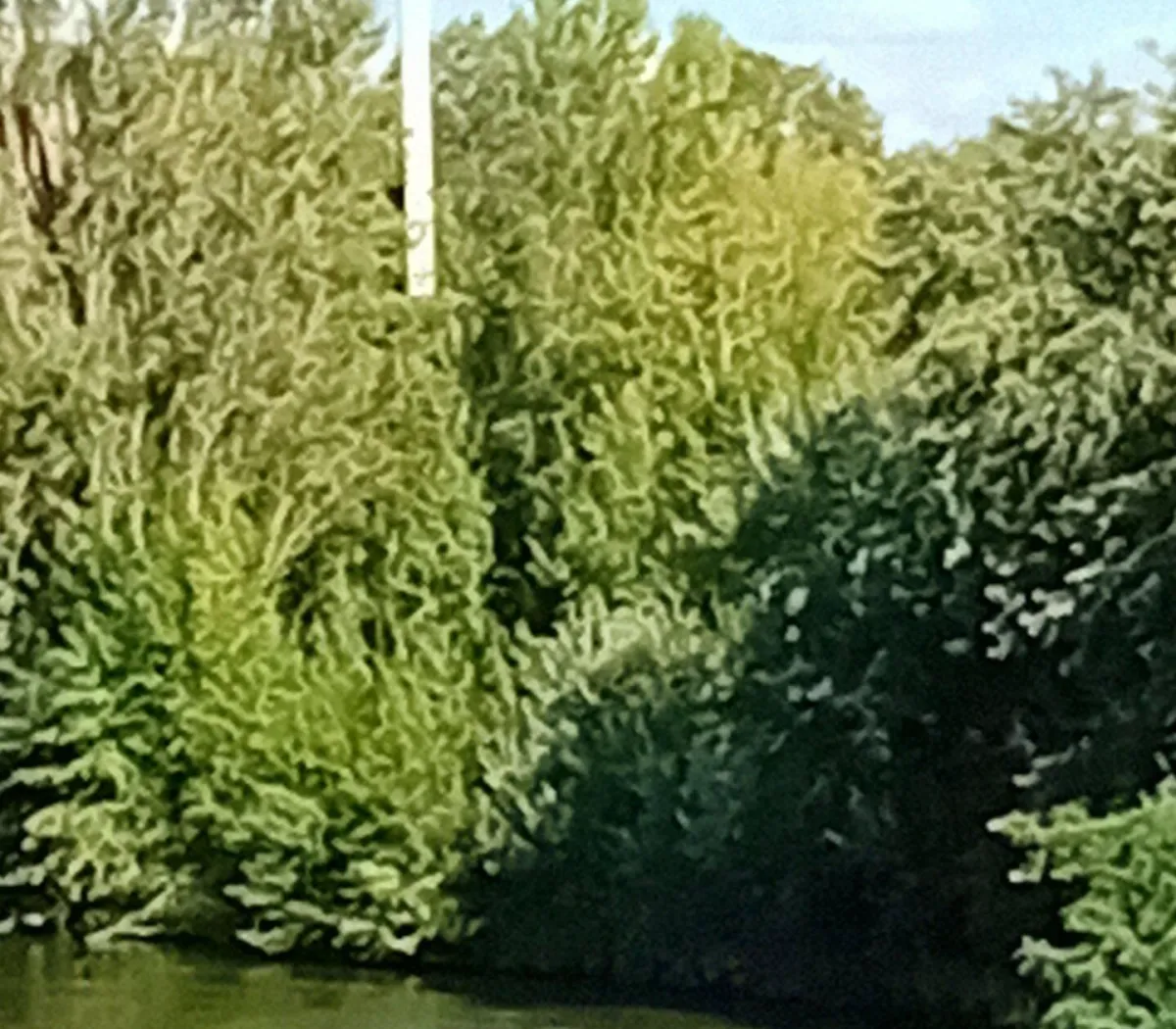 Location Pontoise Appartement 6ab259e2bff7