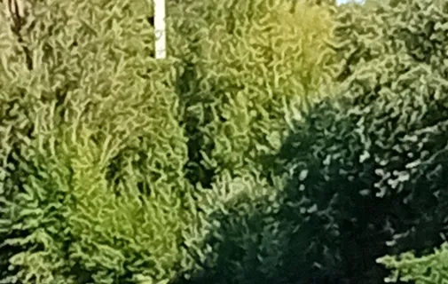 Location Pontoise Appartement 6ab259e2bff7