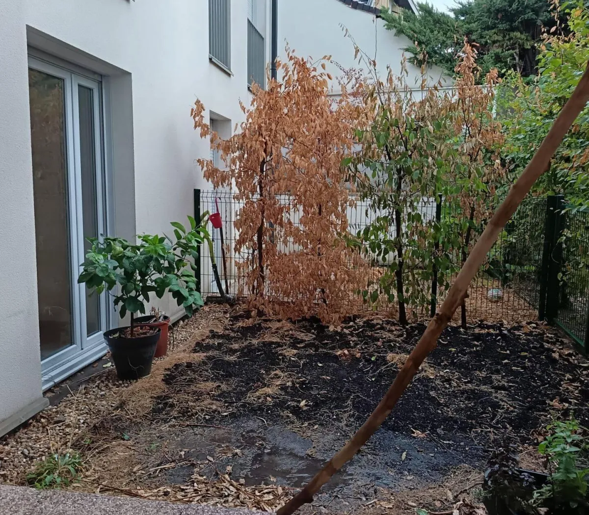 Location Livry-Gargan Appartement 6aba3f5b81c5