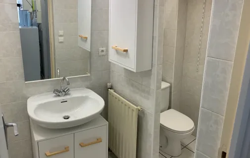 Location Saint-Étienne Appartement 6abd4e1316b0
