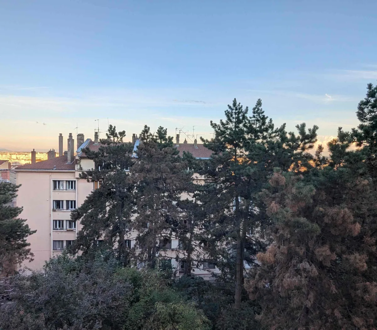 Location Lyon Appartement 6ac0ab690f42
