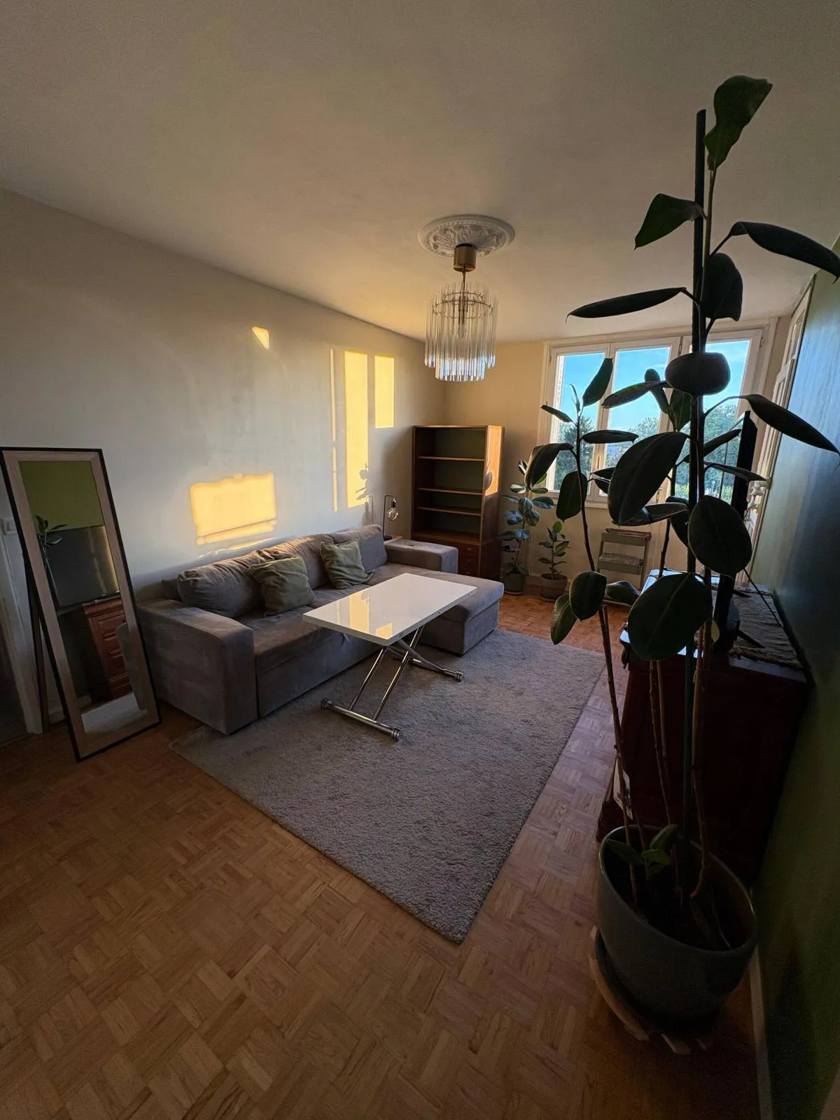 Location Caluire-et-Cuire Appartement 6ac1298fe698