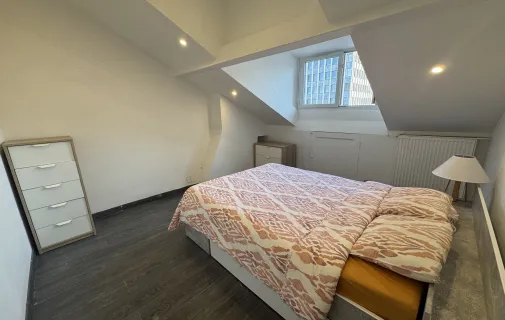Location Saint-Étienne Appartement 6ac63f4a4664