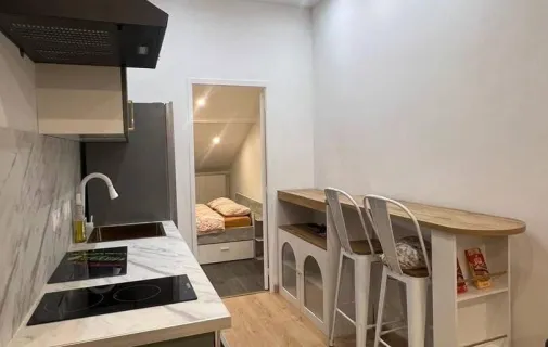 Location Saint-Étienne Appartement 6ac63f4a4664