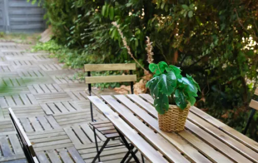 Location Palaiseau Chambre 6acbb5f2c94e