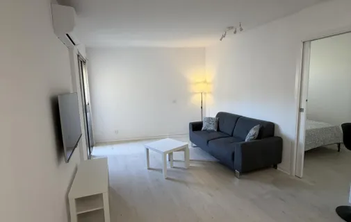 Location Nice Appartement 6acce15c0cb8