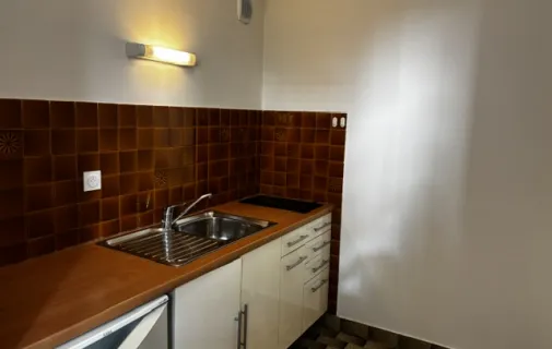 Location Lyon Appartement 6ace5347e7ef