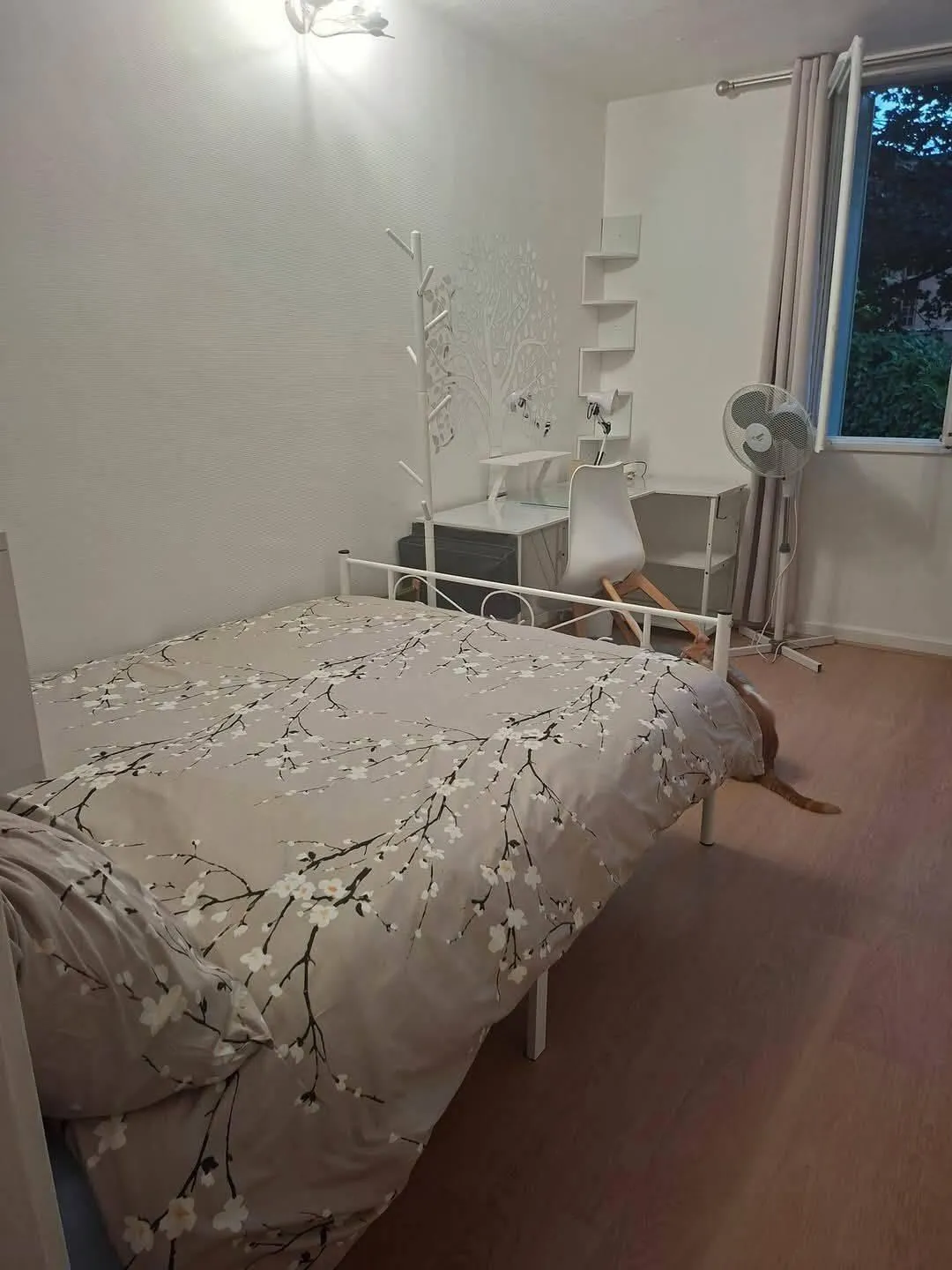 Location Lyon Chambre 6acfb46f96dd