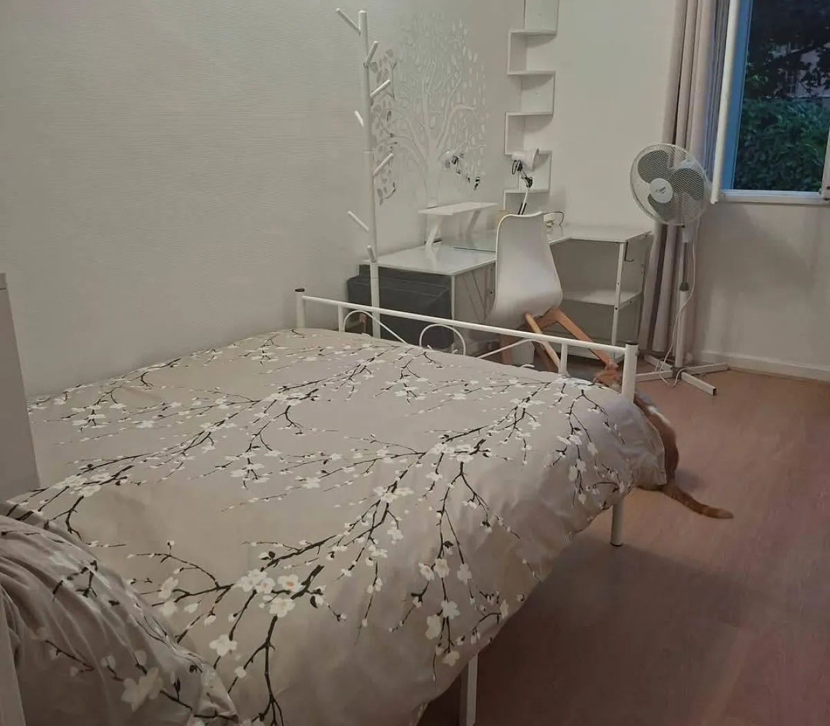 Location Lyon Chambre 6acfb46f96dd