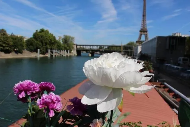 Location Paris Appartement 6ad677a69c87