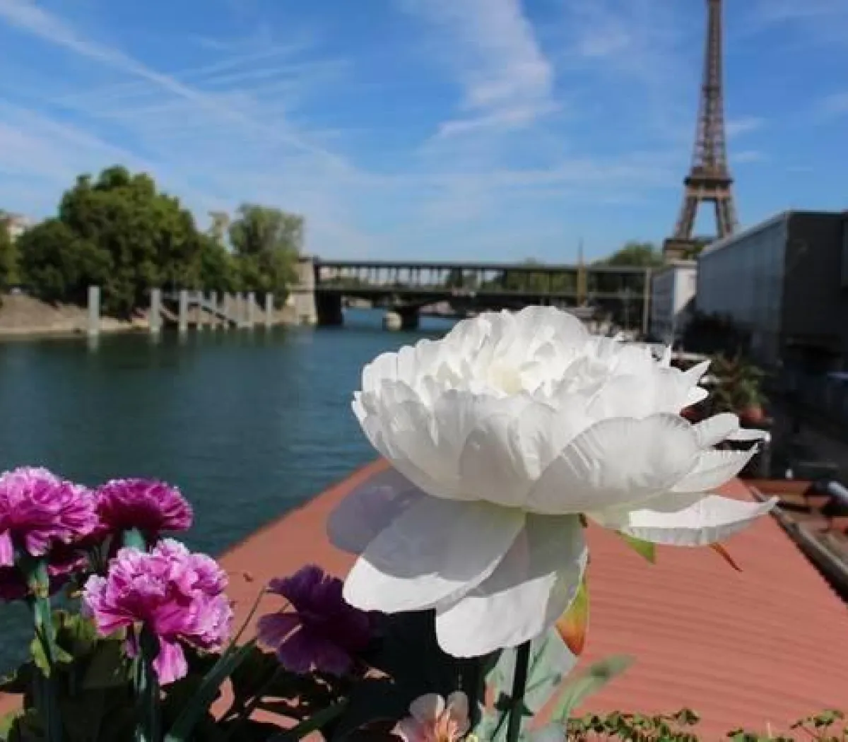Location Paris Appartement 6ad677a69c87