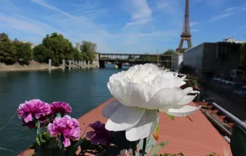 Location Paris Appartement 6ad677a69c87
