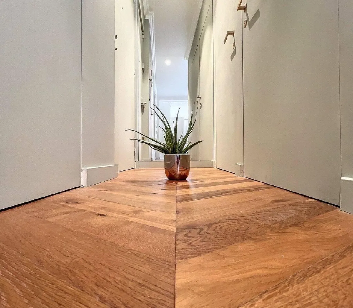 Location Paris Appartement 6ad8805dc3dc