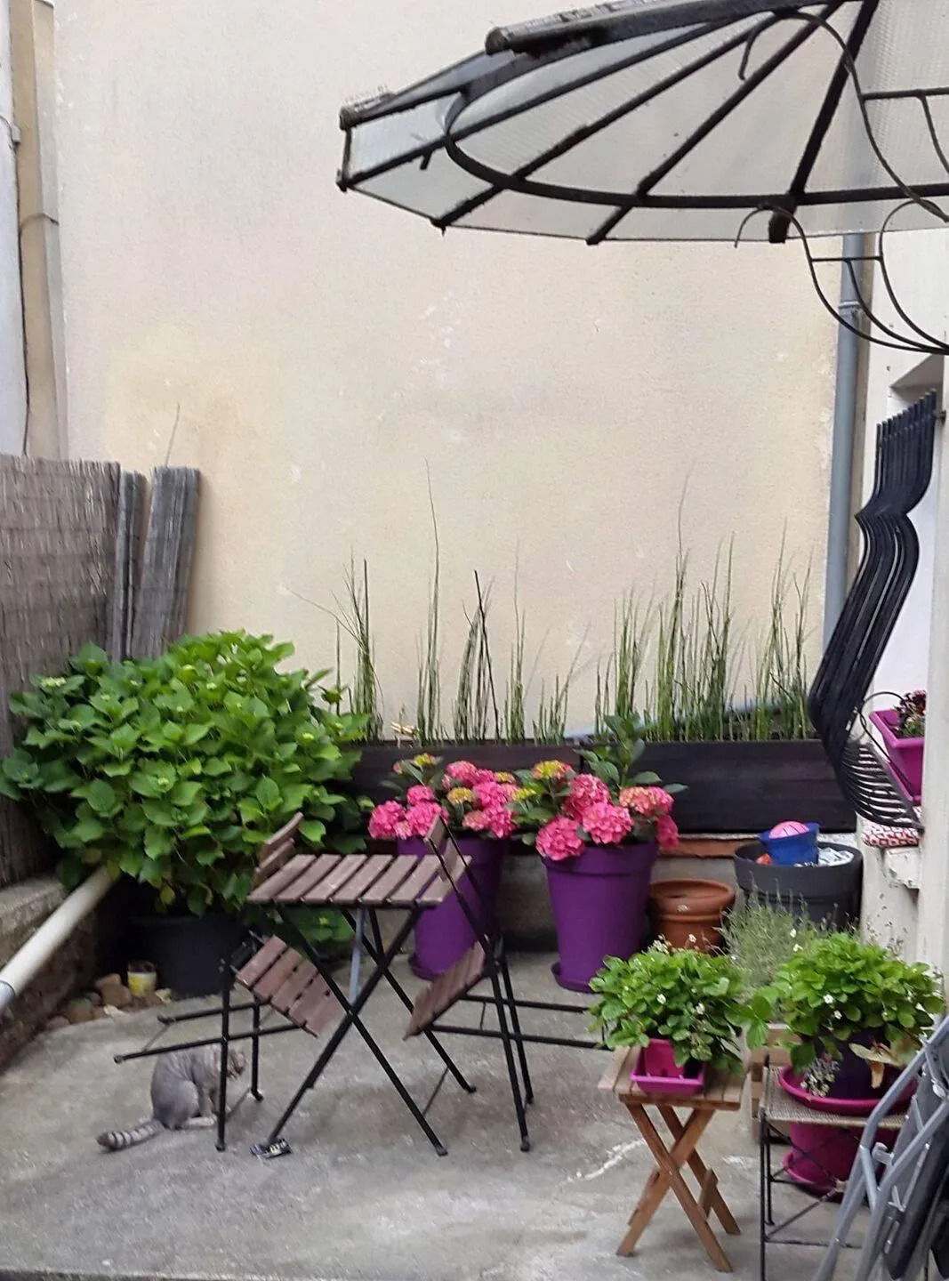 Location Triel-sur-Seine Maison 6ad8aff0bed4
