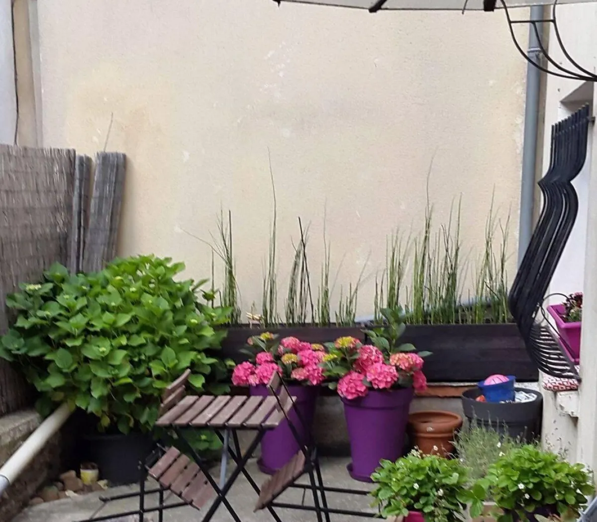 Location Triel-sur-Seine Maison 6ad8aff0bed4