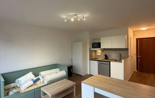 Location Lyon Appartement 6adb11a7dc9d