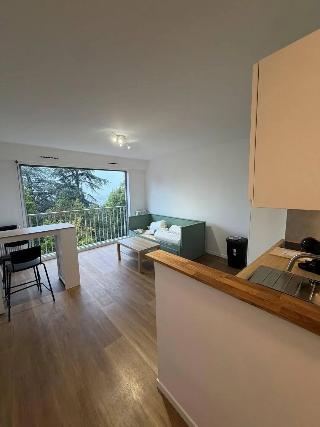 Location Lyon Appartement 6adb11a7dc9d