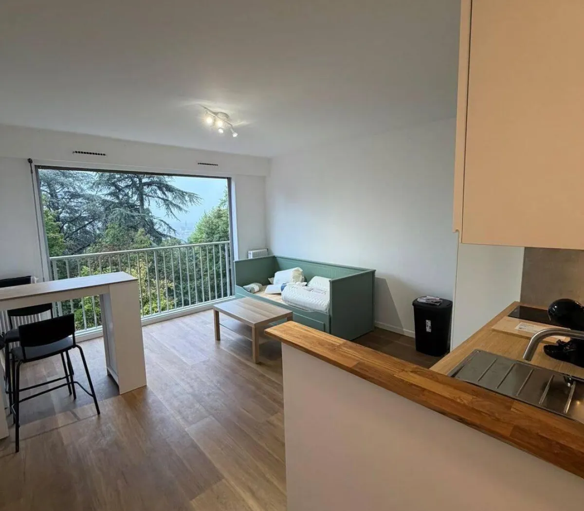 Location Lyon Appartement 6adb11a7dc9d