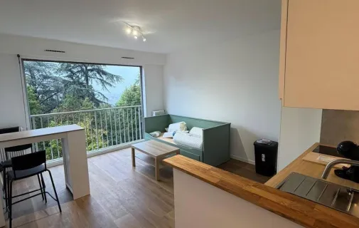 Location Lyon Appartement 6adb11a7dc9d