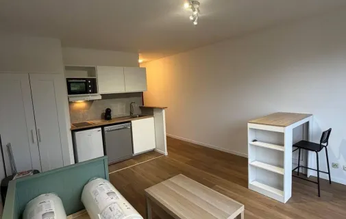 Location Lyon Appartement 6adb11a7dc9d