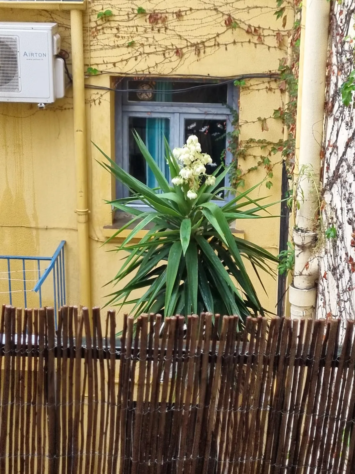 Location Perpignan Appartement 6ae125007532