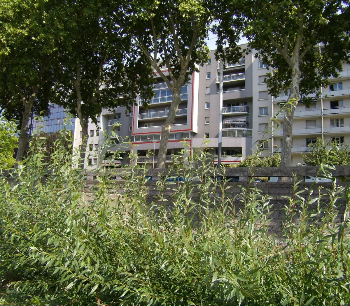 Location Lyon Appartement 6ba7cf8f