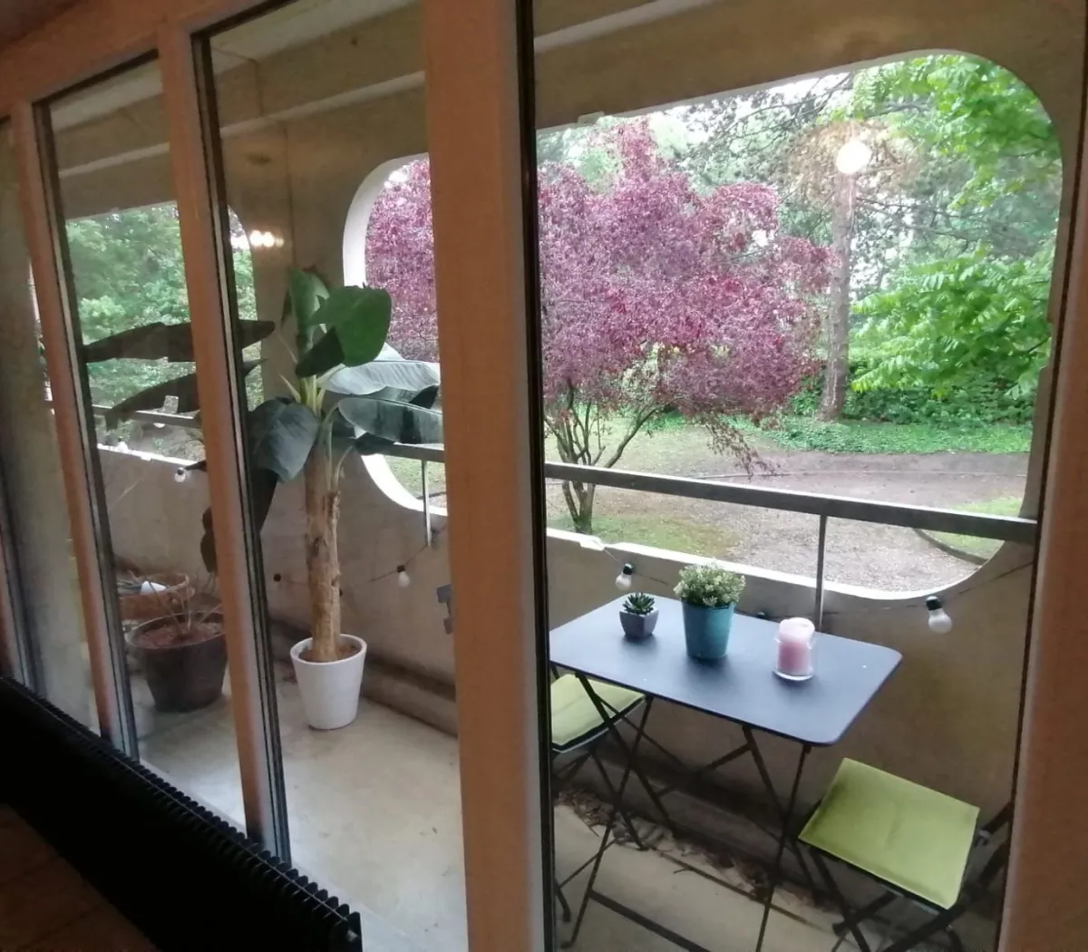 Location Lyon Appartement 6cbf7425