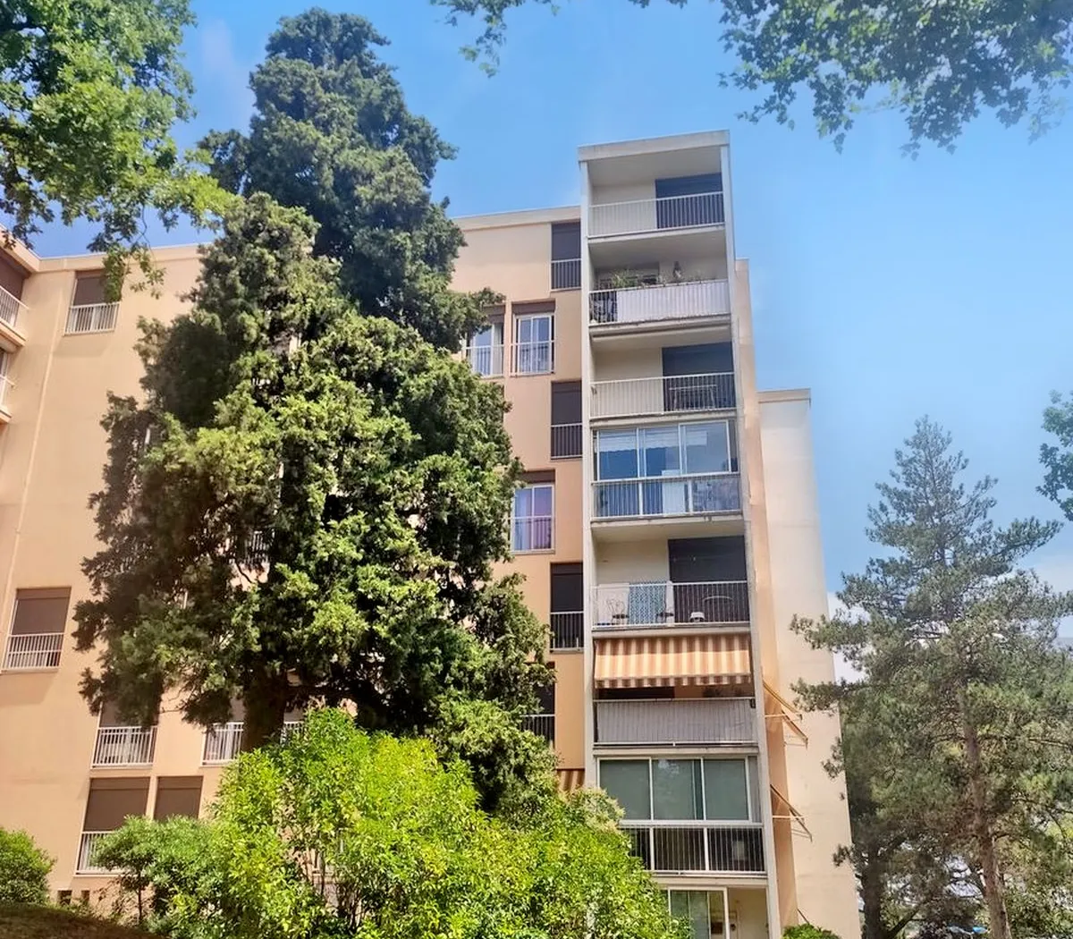 Location Colomiers Appartement 7115befb