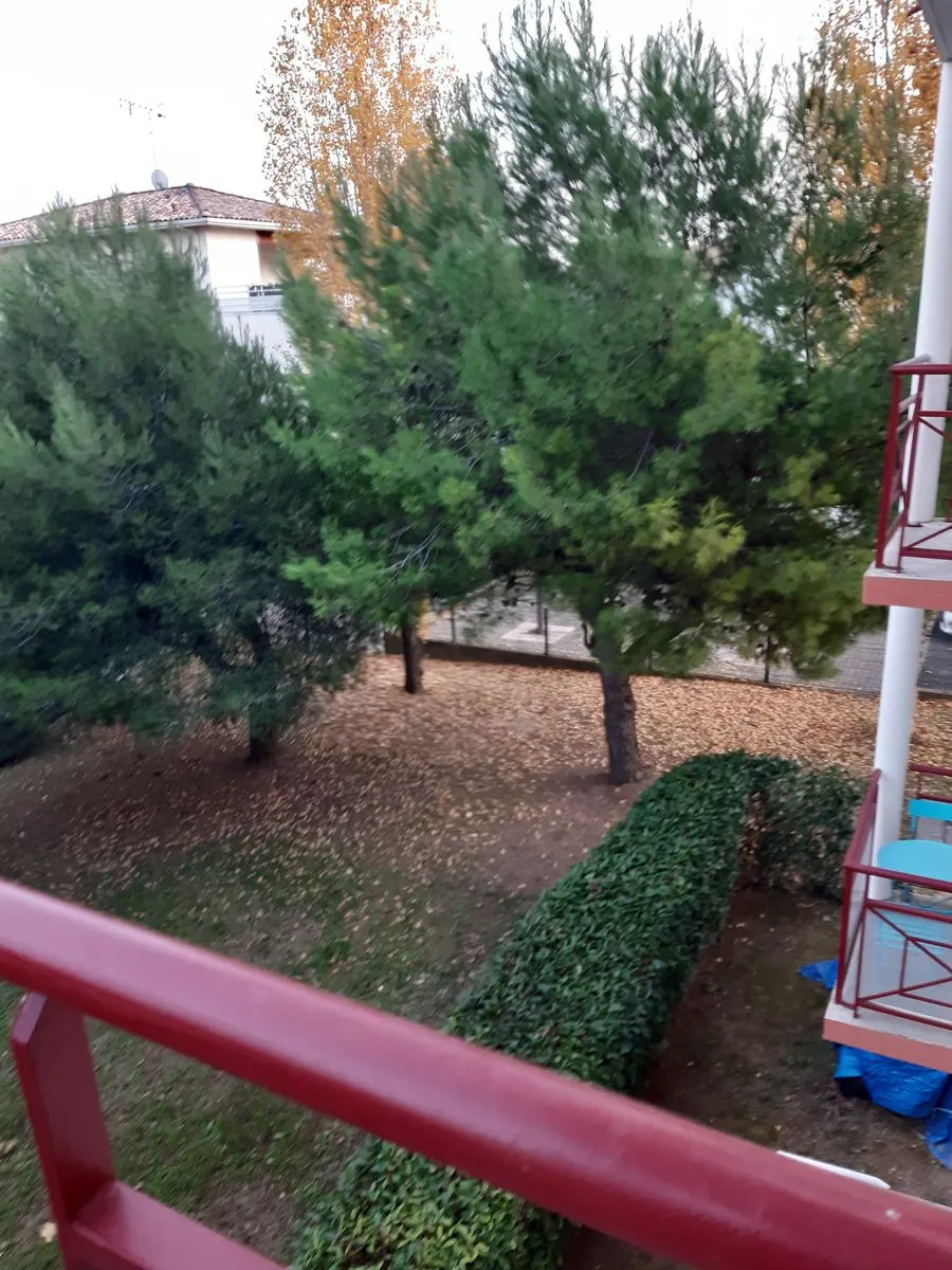 Location Béziers Appartement 729999813