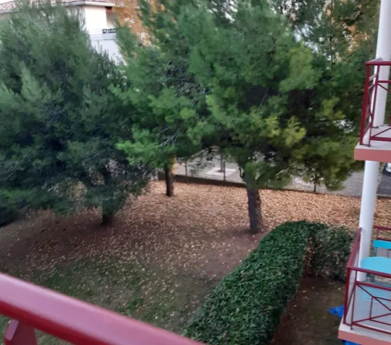 Location Béziers Appartement 729999813