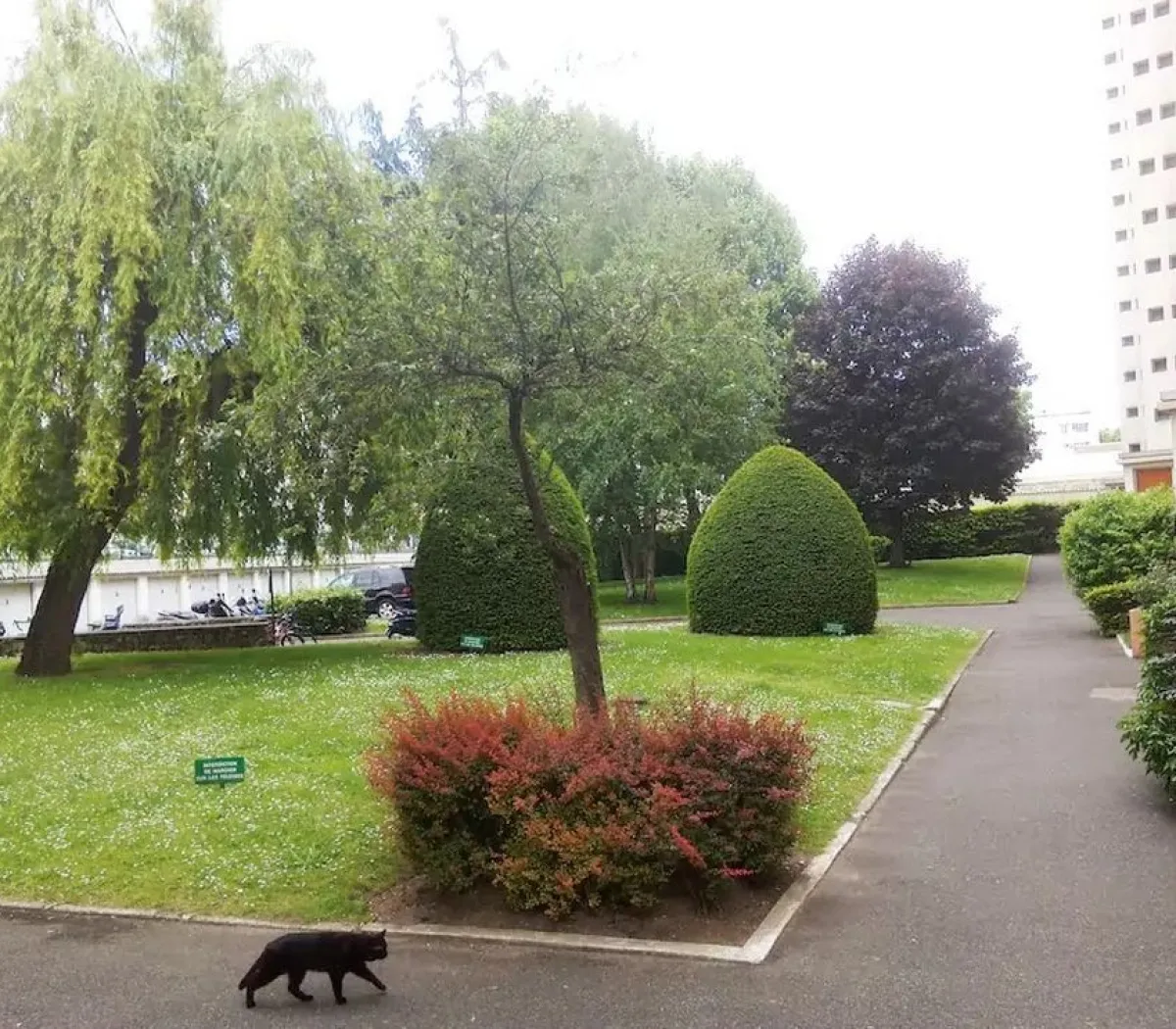 Location Malakoff Appartement 86152b7f