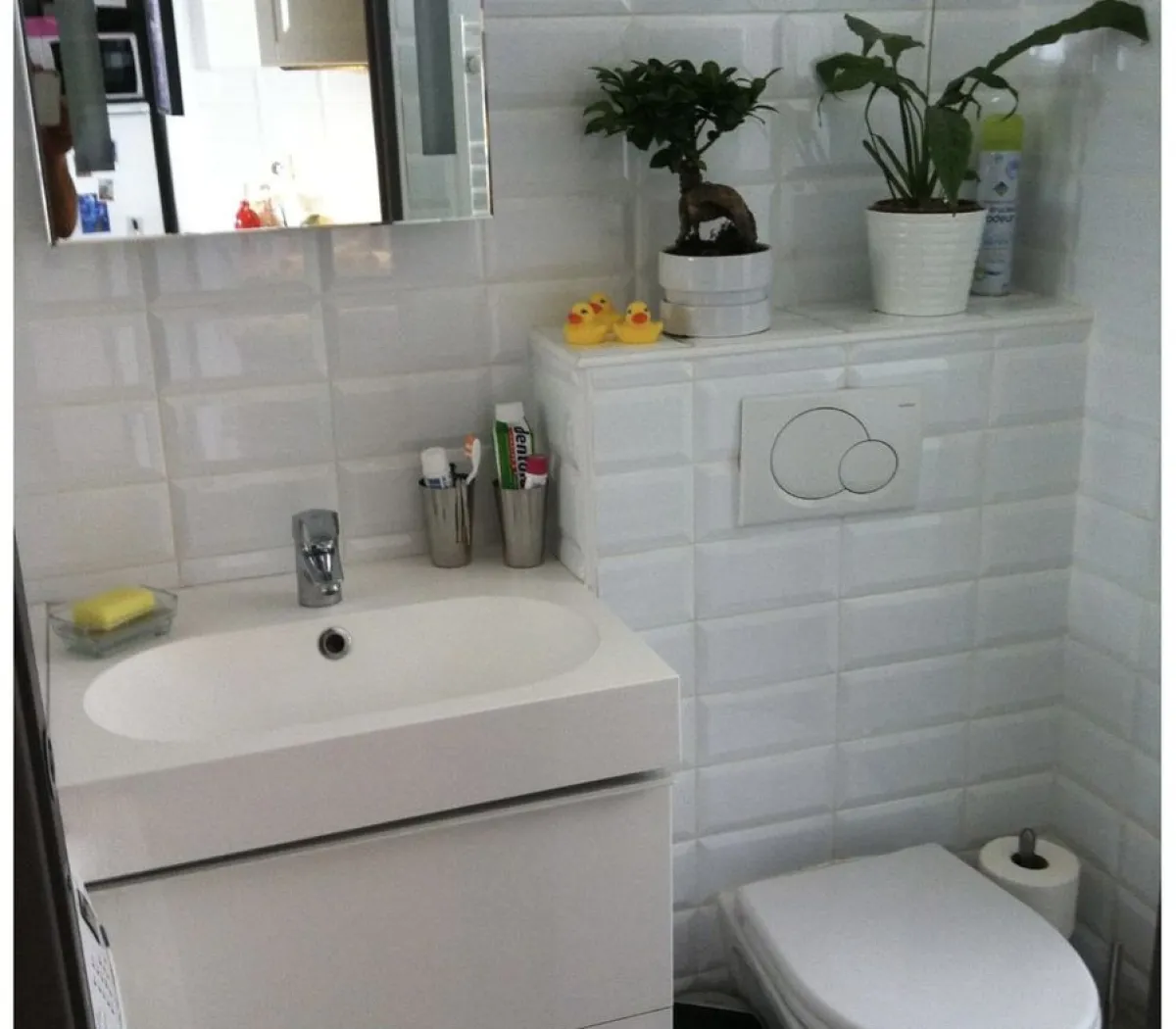 Location Paris Appartement 87afc040