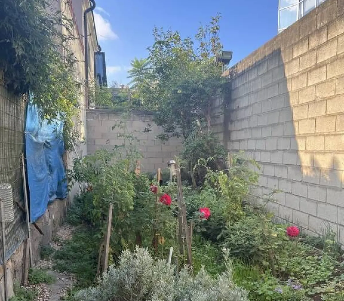 Location Montreuil Appartement 8a70e045