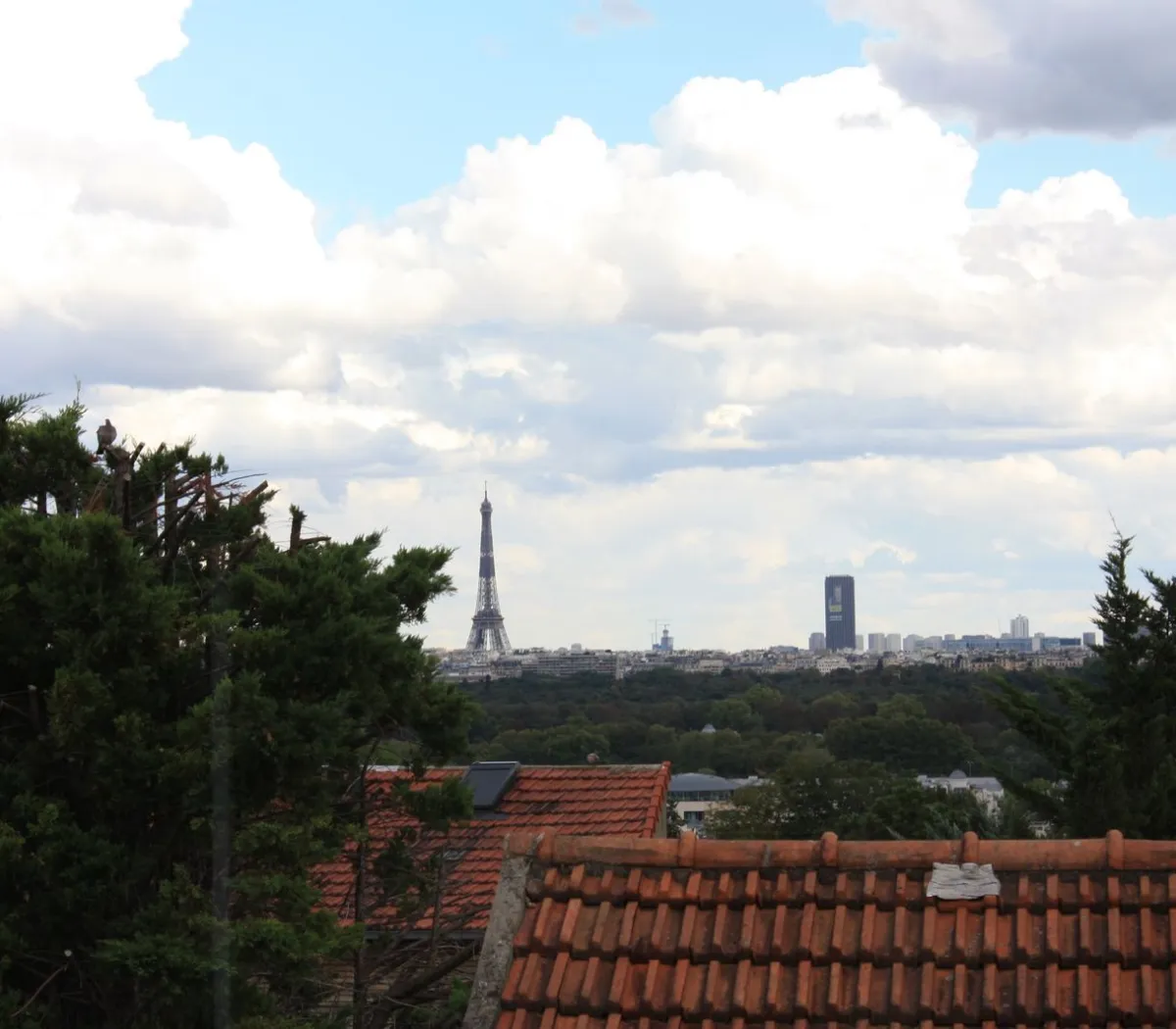 Location Suresnes Appartement 8c5b2898