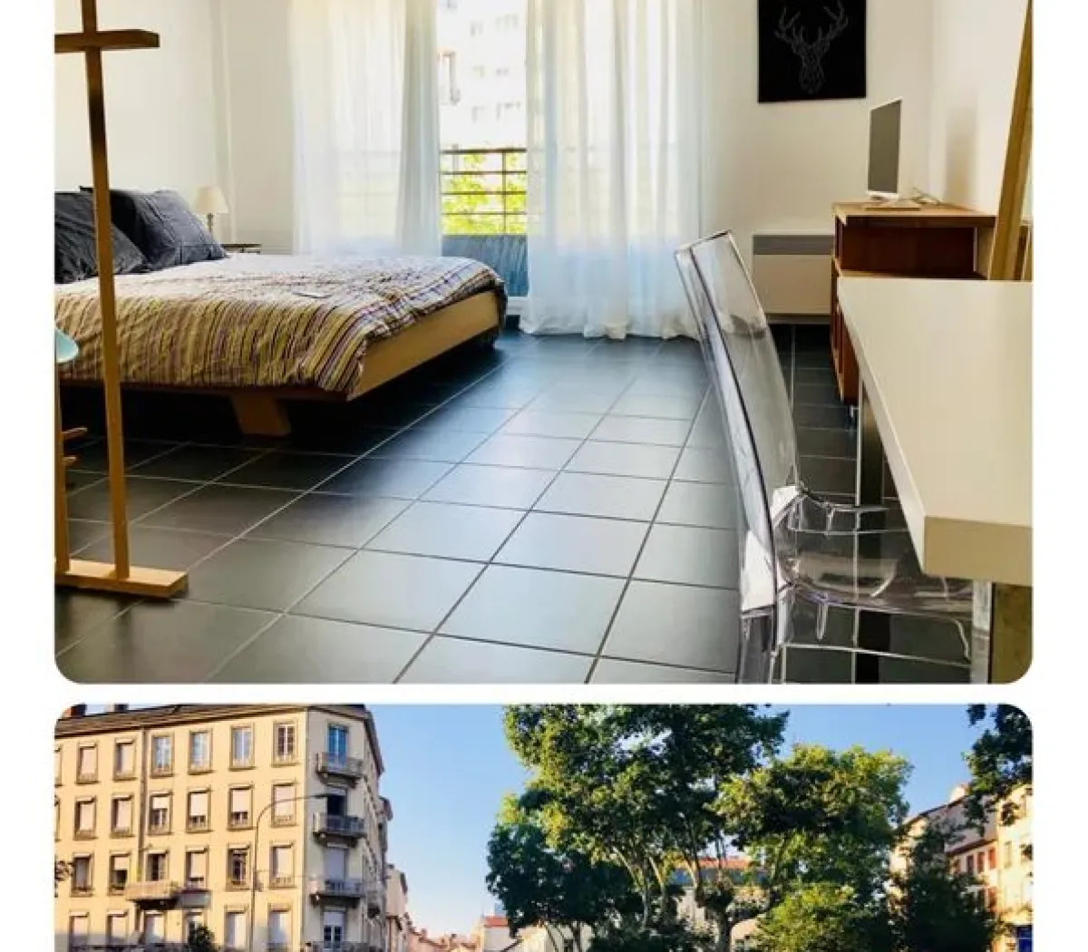 Location Lyon Appartement 8cf4f226