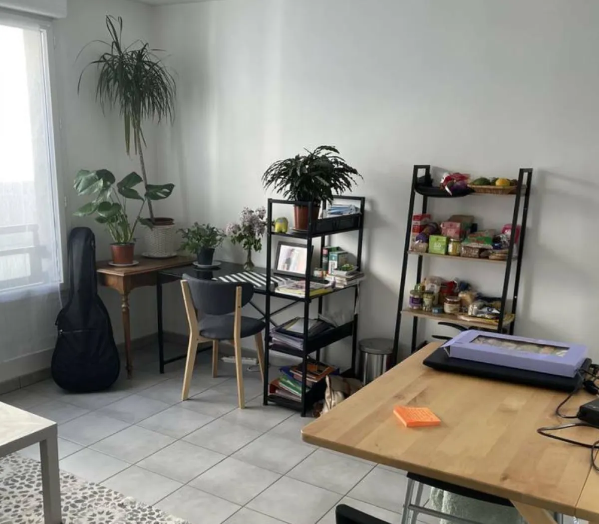 Location Lyon Appartement 8fdc792b