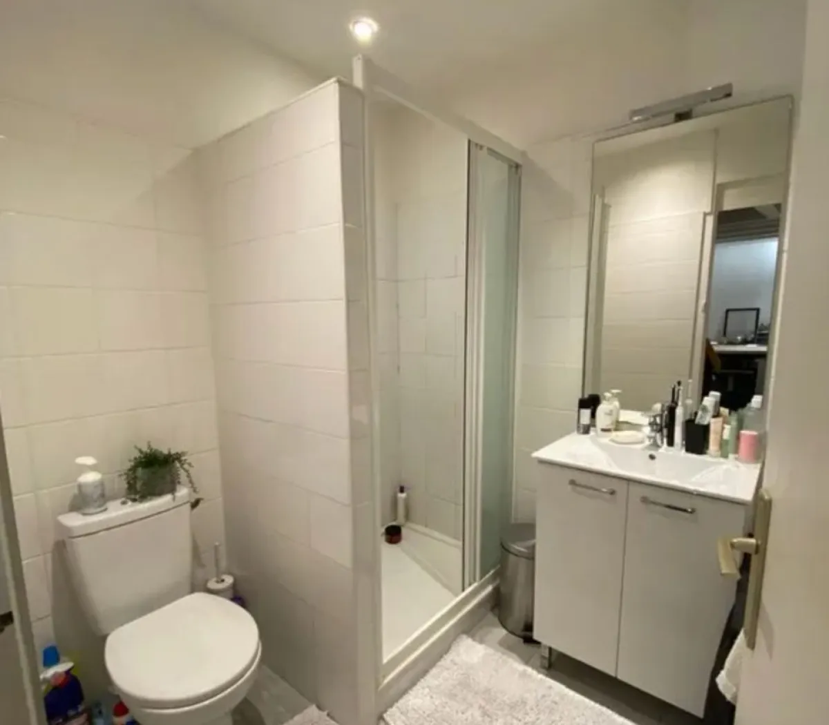 Location Villeurbanne Appartement 986a868c