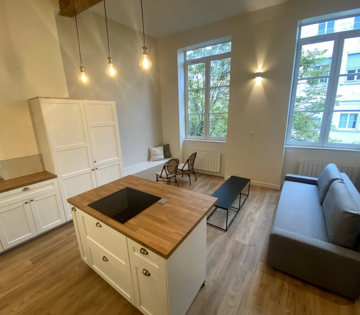 Location Lyon Appartement a617dc59