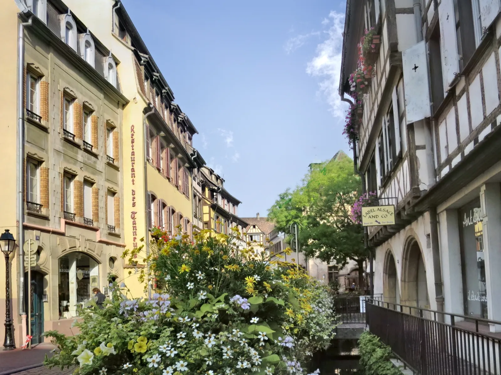 Location Colmar Appartement a7a3a5a01