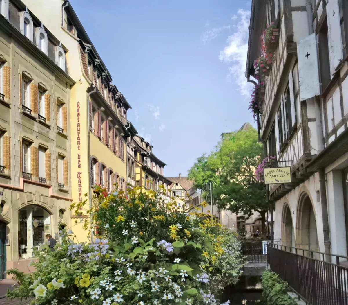 Location Colmar Appartement a7a3a5a0