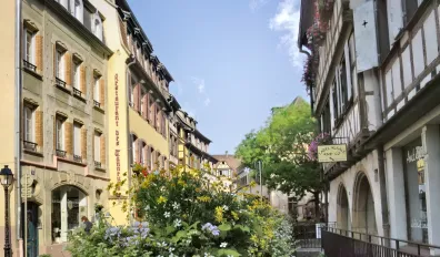 miniatureLocation Colmar Appartement a7a3a5a02
