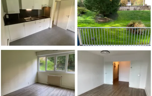 Location Nancy Appartement aa8ff883