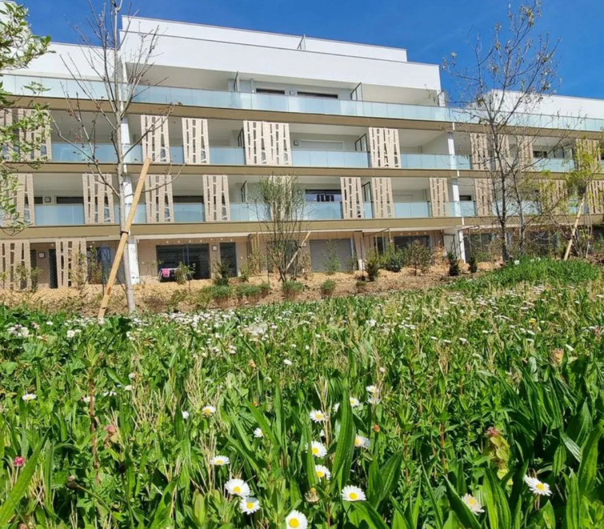 Location Juvigny Appartement b2caeacf