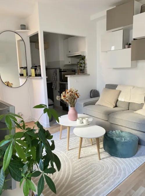 Location Paris Appartement b32114bd2