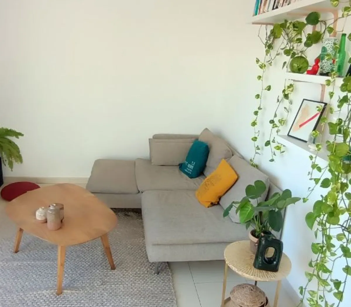 Location Marseille Appartement bdabd283