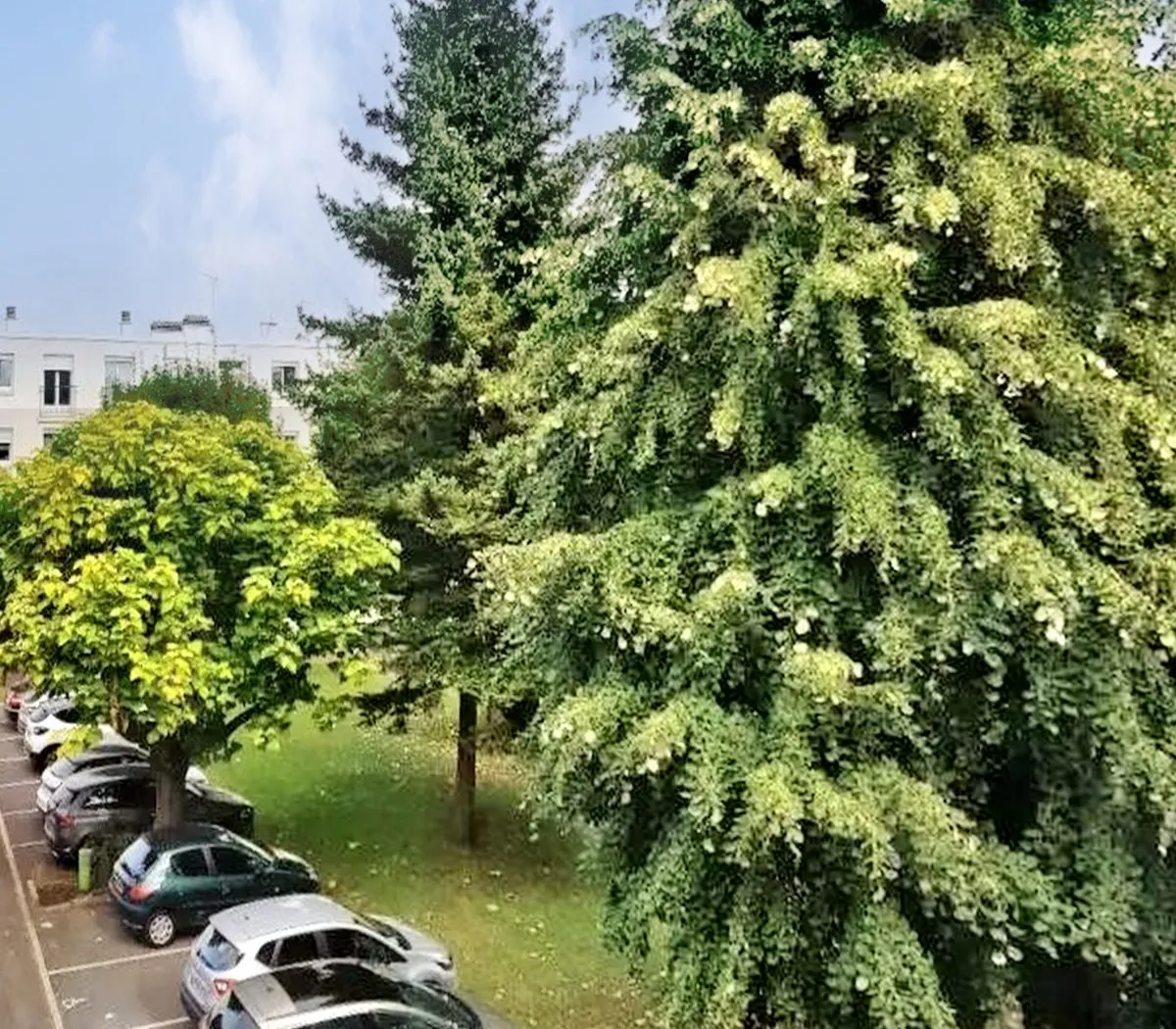 Location Nogent-sur-Marne Appartement bfb5f8ac