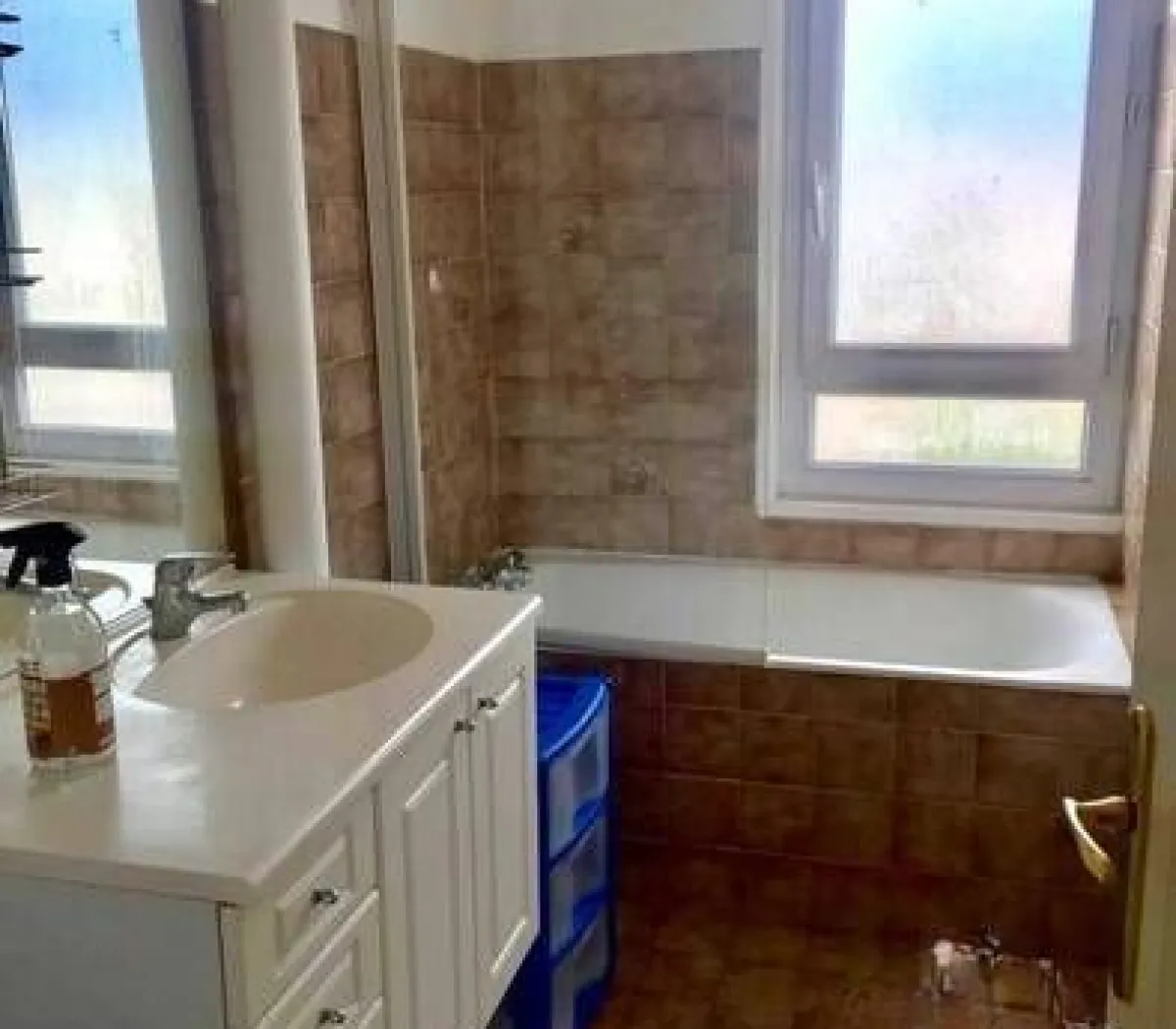 Location Villeurbanne Appartement c0fbf579