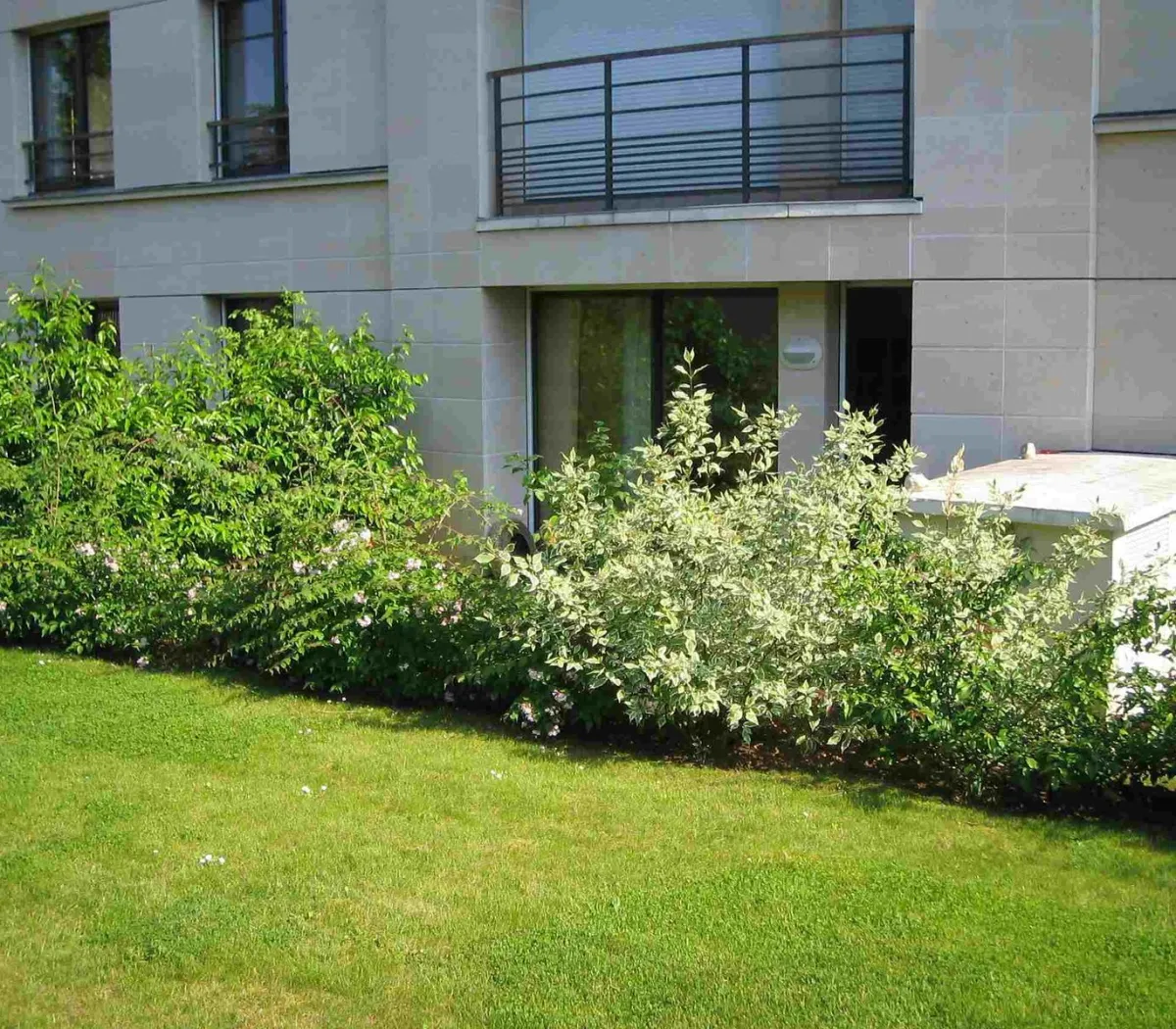 Location Saint-Cloud Appartement c13b0e73